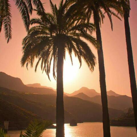 La Casa De Tea Villa Santa Lucia De Tirajana ภายนอก รูปภาพ