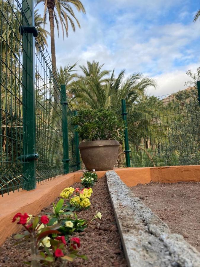 La Casa De Tea Villa Santa Lucia De Tirajana ภายนอก รูปภาพ